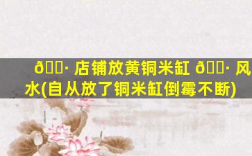 🕷 店铺放黄铜米缸 🌷 风水(自从放了铜米缸倒霉不断)